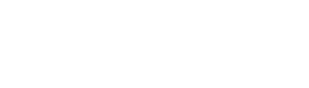 LevelUp MSP